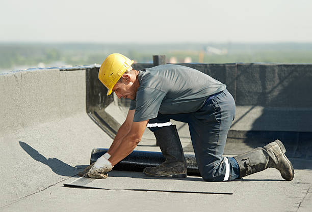 Best Commercial Insulation in Farmersville, TX